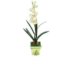 zel Yapay Orkide Beyaz   Tekirda nternetten iek siparii 