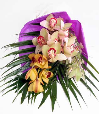  Tekirda 14 ubat sevgililer gn iek  1 adet dal orkide buket halinde sunulmakta