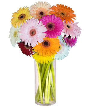  Tekirdağ online çiçek gönderme sipariş  Farkli renklerde 15 adet gerbera çiçegi