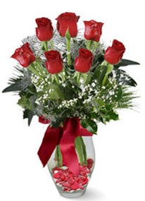  Tekirdağ online çiçek gönderme sipariş  7 adet kirmizi gül cam vazo yada mika vazoda