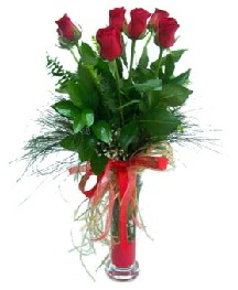 vazo içerisinde 5 kırmızı gül  Tekirdağ online çiçekçi , çiçek siparişi 