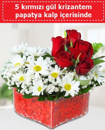 mika kalp içerisinde 5 kırmızı gül papatya  Tekirdağ çiçek satışı 