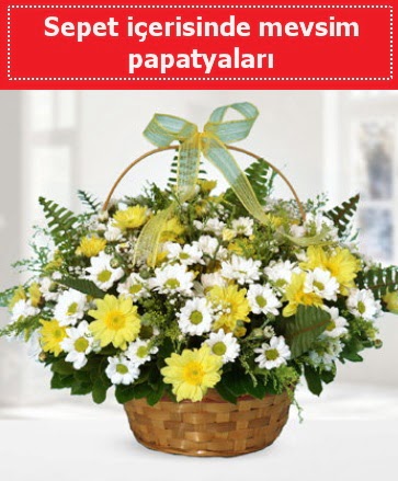 Sepet içerisinde mevsim papatyaları  Tekirdağ çiçekçi mağazası 