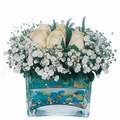 mika ve beyaz gül renkli taslar   Tekirdağ ucuz çiçek gönder 