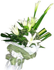  Tekirdağ online çiçekçi , çiçek siparişi  3 dal kazablanka çiçegi ve yesillikler