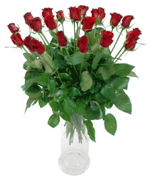  Tekirdağ çiçek , çiçekçi , çiçekçilik  11 adet kimizi gülün ihtisami cam yada mika vazo modeli