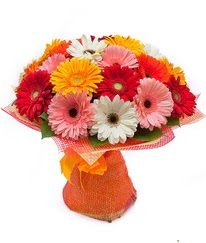 Renkli gerbera buketi  Tekirdağ çiçek online çiçek siparişi 