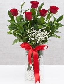 cam vazo içerisinde 5 adet kırmızı gül  Tekirdağ 14 şubat sevgililer günü çiçek 