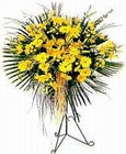  Tekirdağ çiçek yolla , çiçek gönder , çiçekçi   Sari kazablanka Ferforje