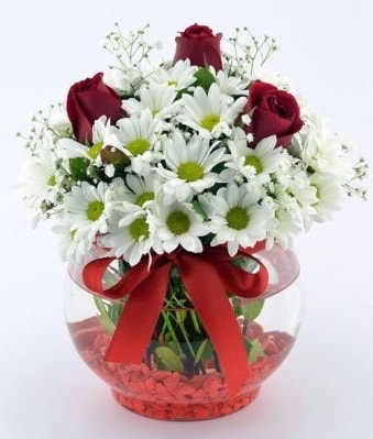 Fanusta 3 Gül ve Papatya  Tekirdağ internetten çiçek siparişi 